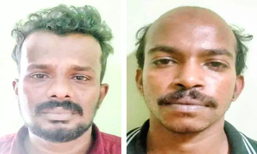 കഞ്ചാവുമായി രണ്ടുപേർ പിടിയിൽ