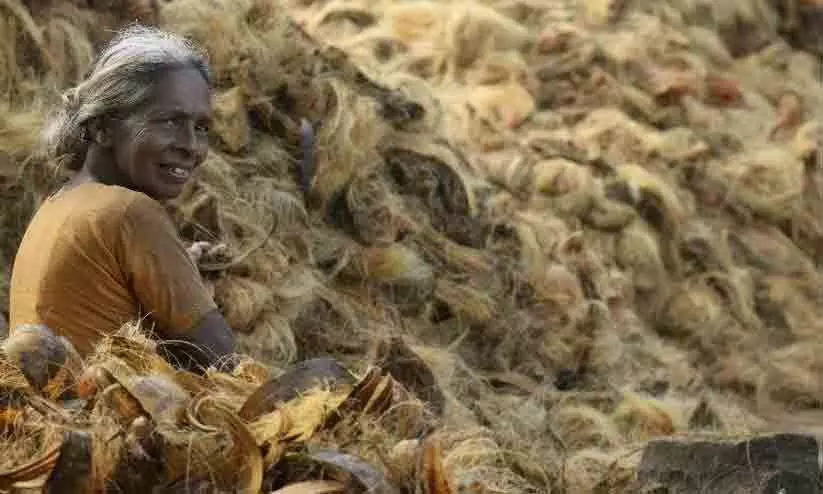 coir sector workers