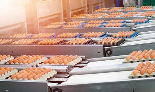 പ്രാദേശിക ഭക്ഷ്യോൽപാദന വ്യവസായം: സൗദി 9,100 കോടി റിയാൽ നിക്ഷേപിക്കും