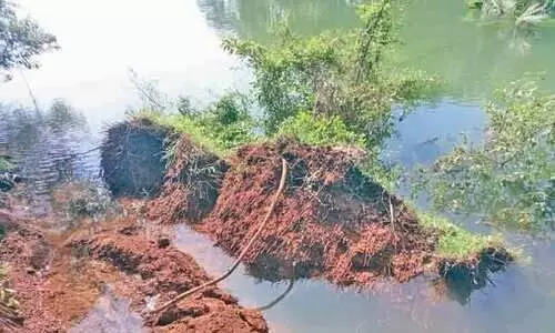 ചായ്യോം കണിയാട പുഴയുടെ കരയിടിച്ചൽ രൂക്ഷം