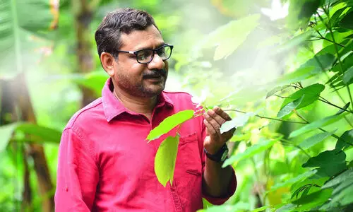 ഓണം പോലില്ല മറ്റൊന്ന്, പക്ഷേ.... ഓണം പോലില്ല മറ്റൊന്ന്, പക്ഷേ....