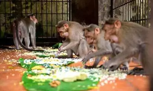 കലമ്പിയും കൈയിട്ടുവാരിയും അവർ ഓണസദ്യ ഉണ്ടു