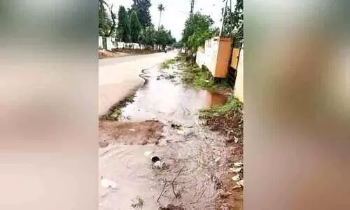 പൈപ്പ് പൊട്ടിയിട്ട് ഒരാഴ്ച; കുടിവെള്ളമില്ലാതെ ഒറ്റപ്ലാമൂട്, പോളി നിവാസികൾ പൈപ്പ് പൊട്ടിയിട്ട് ഒരാഴ്ച; കുടിവെള്ളമില്ലാതെ ഒറ്റപ്ലാമൂട്, പോളി നിവാസികൾ