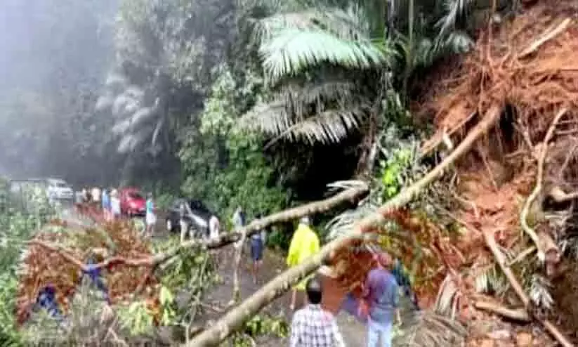 നിടുംപൊയിൽ-മാനന്തവാടി ചുരം റോഡിൽ മരം വീണ് ഗതാഗതം മുടങ്ങി