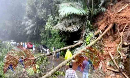 നിടുംപൊയിൽ-മാനന്തവാടി ചുരം റോഡിൽ മരം വീണ് ഗതാഗതം മുടങ്ങി