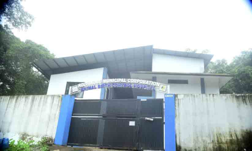 തെരുവുനായ് ശല്യം രൂക്ഷം ജില്ലയിൽ വന്ധ്യംകരണ ആശുപത്രി ഒന്നുമാത്രം