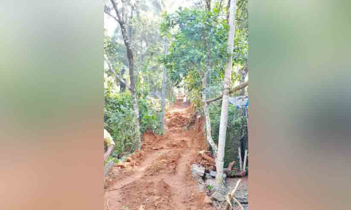 കാത്തിരിപ്പിന് വിരാമം; കോളനി റോഡ് വികസനം ഉടൻ