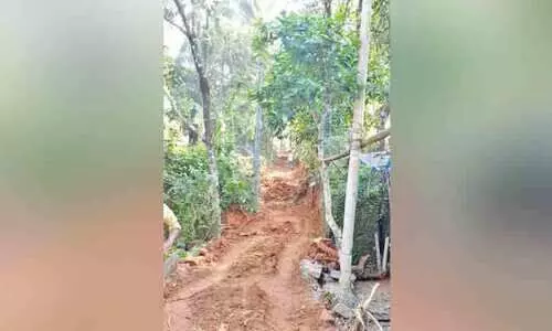 കാത്തിരിപ്പിന് വിരാമം; കോളനി റോഡ് വികസനം ഉടൻ