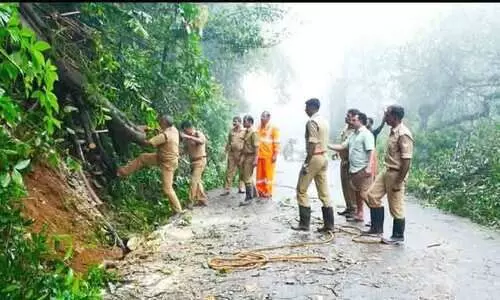 മരങ്ങൾ കടപുഴകി ഗതാഗതം മുടങ്ങി