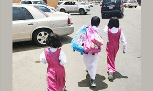 Boy carrying sisters