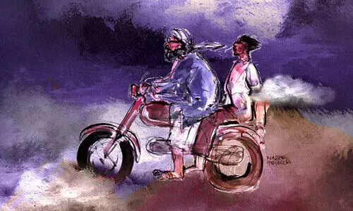 കൂർക്ക കൂർക്ക