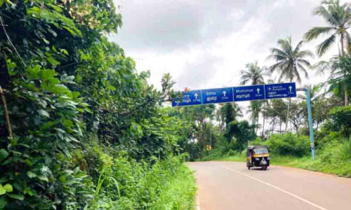 കാടുമൂടി; വിമാനത്താവള റോഡിൽ യാത്ര പെടാപ്പാട്