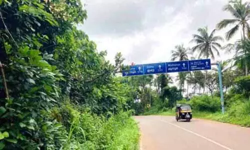 കാടുമൂടി; വിമാനത്താവള റോഡിൽ യാത്ര പെടാപ്പാട്