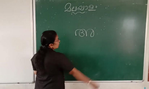 Lack of mother tongue knowledge among students in the state