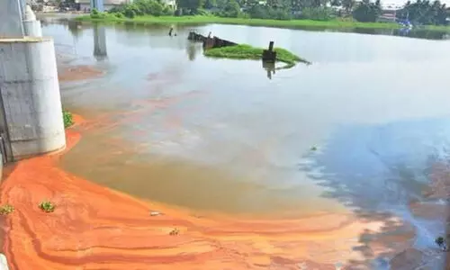 പെരിയാർ മലിനീകരണം: നിരീക്ഷണ സമിതി രൂപവത്കരിക്കണമെന്ന് ഹരിത ട്രൈബ്യൂണൽ