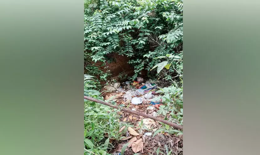 പൊതുകിണറ്റിൽ മാലിന്യം തള്ളുന്നതായി നാട്ടുകാർ