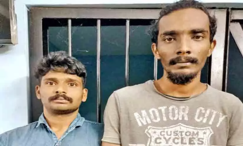 മേപ്പാടിയിൽ ആറു കിലോ കഞ്ചാവുമായി യുവാവാക്കൾ​ അറസ്റ്റിൽ