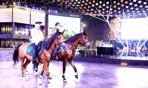 കുതിരപ്പടയാളികൾ കുടുക്കിയത് 71 പേരെ