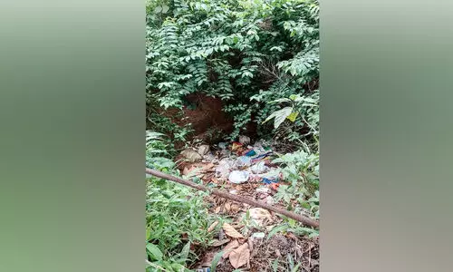 പൊതുകിണറ്റിൽ മാലിന്യം തള്ളുന്നതായി നാട്ടുകാർ