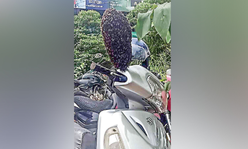 നി​ർ​ത്തി​യി​ട്ട സ്കൂ​ട്ട​റി​ൽ തേ​നീ​ച്ച കൂ​ടു​കൂ​ട്ടി