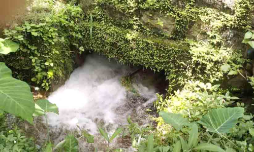 ആലത്തുകാവിൽ പൈപ്പ് പൊട്ടി കുടിവെള്ളം പാഴാകുന്നു