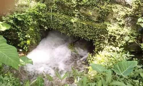 ആലത്തുകാവിൽ പൈപ്പ് പൊട്ടി കുടിവെള്ളം പാഴാകുന്നു