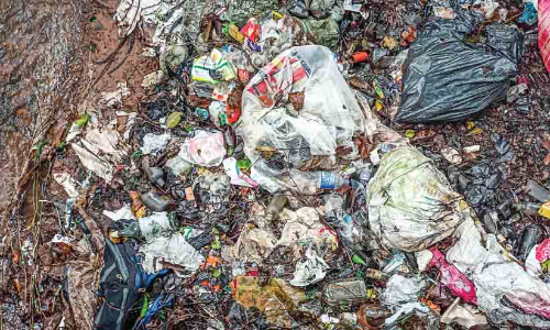 അയ്യർമല റോഡിൽ മാലിന്യം; ദുരിതം പേറി യാത്രക്കാർ അയ്യർമല റോഡിൽ മാലിന്യം; ദുരിതം പേറി യാത്രക്കാർ