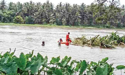 ഒഴുക്കിൽപ്പെട്ട വയോധികയെ കണ്ടെത്തിയില്ല; തിങ്കളാഴ്ച തിരച്ചിൽ പുനരാരംഭിക്കും ഒഴുക്കിൽപ്പെട്ട വയോധികയെ കണ്ടെത്തിയില്ല; തിങ്കളാഴ്ച തിരച്ചിൽ പുനരാരംഭിക്കും