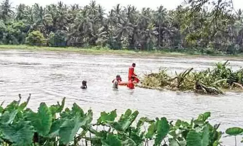ഒഴുക്കിൽപ്പെട്ട വയോധികയെ കണ്ടെത്തിയില്ല; തി​ങ്ക​ളാ​ഴ്ച തി​ര​ച്ചി​ൽ പു​ന​രാ​രം​ഭി​ക്കും