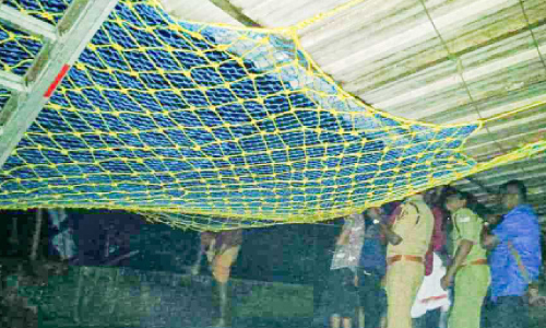 യുവാവ് തെങ്ങിൻ മുകളിൽ; മുൾമുനയിൽ നാട്