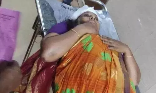 mallika 897865 mallika 897865