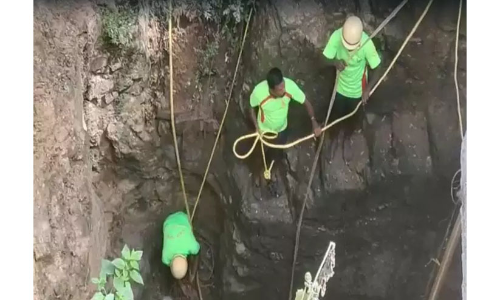 മലമ്പാമ്പിനെ രക്ഷിക്കാൻ കിണറ്റിലിറങ്ങി; തൊഴിലാളിയെ പാമ്പ് വരിഞ്ഞുമുറുക്കി കൊന്നു