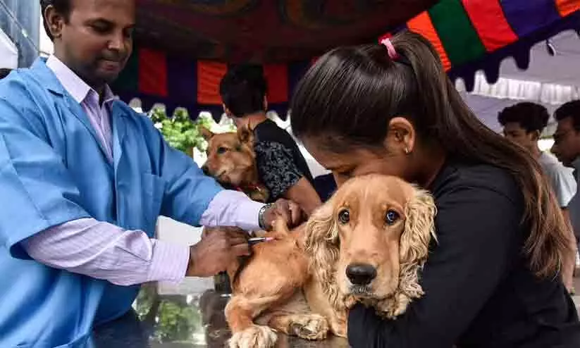 വളർത്തുമൃഗങ്ങൾക്ക് വാക്സിനേഷൻ ക്യാമ്പ്