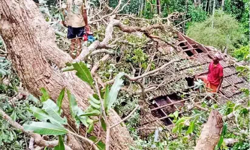 ജില്ലയിൽ മിന്നൽ ചുഴലി; അ​ഞ്ച് വീ​ടു​ക​ൾ ത​ക​ർ​ന്നു