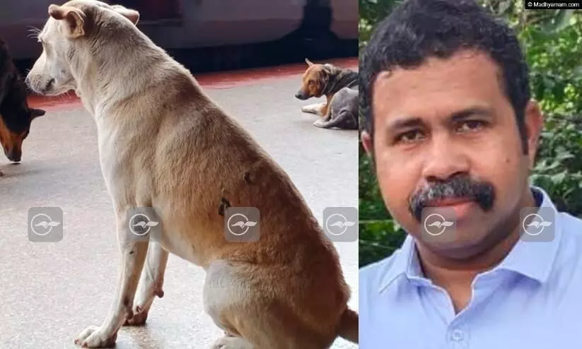 നായ്ക്ക് വാക്സിൻ നൽകുന്നതിനിടെ ജീവനക്കാരന് കടിയേറ്റു നായ്ക്ക് വാക്സിൻ നൽകുന്നതിനിടെ ജീവനക്കാരന് കടിയേറ്റു