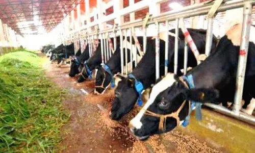 മൃഗസംരക്ഷണത്തിന് ആളില്ല; വകുപ്പിൽ പ്രതിസന്ധി