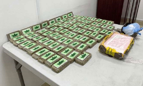 9.5 കി​ലോ​ഗ്രാം വി​ല​വ​രു​ന്ന ഹ​ഷീ​ഷും കൊ​ക്കെ​യ്നും പി​ടി​കൂ​ടി