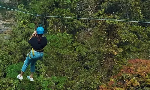 എം.എം. മണിയുടെ സഹോദരന്‍റെ ടൂറിസം പദ്ധതി വിവാദത്തിൽ; നടപടിക്ക്​ കലക്ടറുടെ നിർദേശം