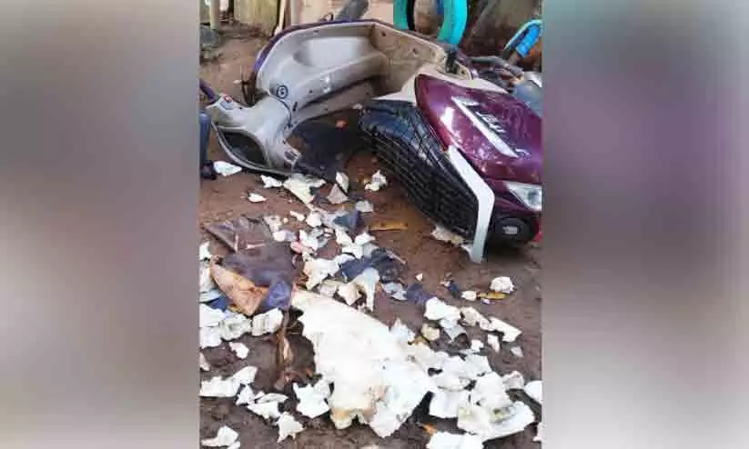 മുറ്റത്ത് നിർത്തിയിട്ട സ്കൂട്ടർ നായ്ക്കൾ കടിച്ച് നശിപ്പിച്ചു