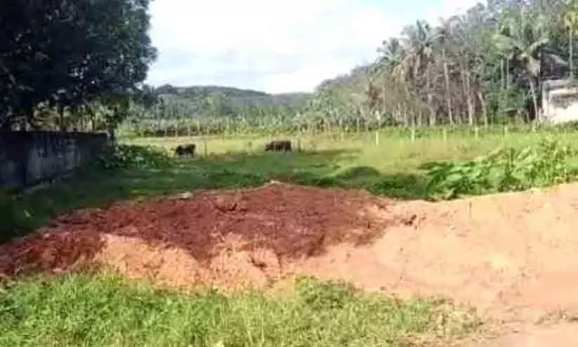 ഏറത്ത് അനധികൃത നിലംനികത്തൽ ഏറത്ത് അനധികൃത നിലംനികത്തൽ