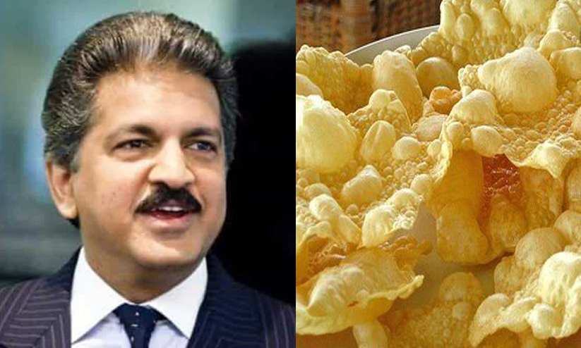 anand mahindra 89667586 anand mahindra 89667586