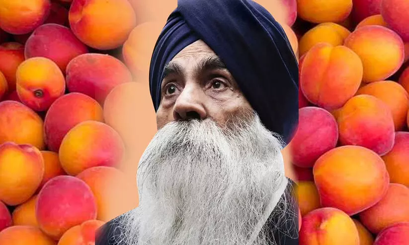 എട്ട് ഡോളറുമായി യു.എസിലെത്തി പീച്ച് രാജാവായ ദിദാർ സിങ് ബെയിൻ അന്തരിച്ചു