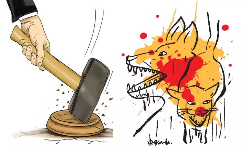 തെരുവുനായ് ശല്യത്തിൽ ഹൈകോടതി; പൗരന്മാരെ സംരക്ഷിക്കാൻ സർക്കാറിന് ബാധ്യത തെരുവുനായ് ശല്യത്തിൽ ഹൈകോടതി; പൗരന്മാരെ സംരക്ഷിക്കാൻ സർക്കാറിന് ബാധ്യത