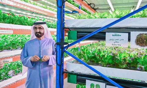 ബുസ്താനിക്ക ഫാമിൽ ശൈഖ് മുഹമ്മദ് എത്തി