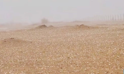 ദുബൈയിലും ഷാർജയിലും മഴ, ആലിപ്പഴവർഷം