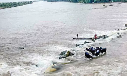 കന്നുകാലികൾ ഒഴുക്കിൽപ്പെട്ടു