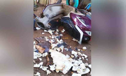 മുറ്റത്ത് നിർത്തിയിട്ട സ്കൂട്ടർ നായ്ക്കൾ കടിച്ച് നശിപ്പിച്ചു