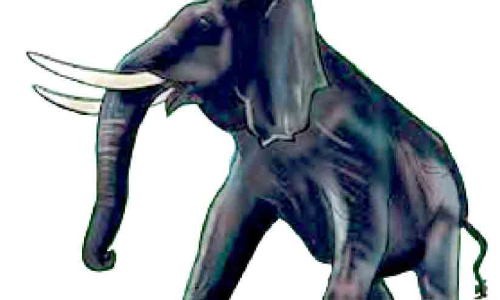 വിട്ടൊഴിയാതെ ആനപ്പേടി വിട്ടൊഴിയാതെ ആനപ്പേടി