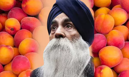 എട്ട് ഡോളറുമായി യു.എസിലെത്തി പീച്ച് രാജാവായ ദിദാർ സിങ് ബെയിൻ അന്തരിച്ചു