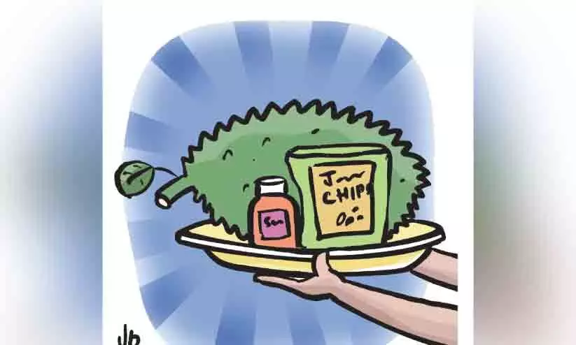 കയറ്റുമതി ലക്ഷ്യമിട്ട് മൂല്യവർധിത കൃഷി മിഷൻ; കൃഷിക്ക് പണമുറപ്പിക്കും